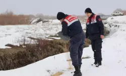 Jandarma ekipleri doğada yemleme yaparken kaçak avlanan kişiyi yakaladı