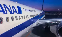 Japonya’da yolcu kabin görevlisini ısırdı: Uçak havalimanına geri döndü   