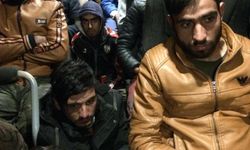 Kırklareli’nde 10 kaçak göçmen yakalandı   