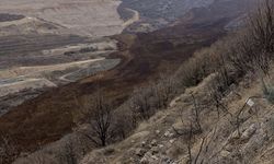 Erzincan'da altın madeni bölgesinde toprak kayması 