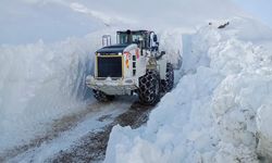 Yüksekova’da karla mücadele devam ediyor 