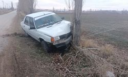 Köpeğe çarpmamak için manevra yapan araç ağaca çarptı: 1 yaralı   