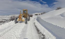 Tercan’da kardan kapalı köy yolları açılıyor  