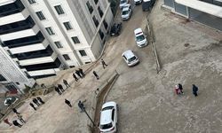 Şırnak'ta çocuklar biri patlamış 2 havan mermisi buldu