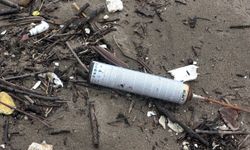 Karadeniz'e atılan çöpler, İnkumu sahiline vurdu   