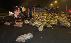 Patates yüklü kamyon devrildi: Bolu Dağı geçişi trafiğe kapandı 