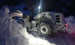 Artvin'de ekiplerin karla mücadelesi sürüyor  