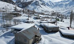 Beytüşşebap'ın 150 haneli köyünde tek katlı evler kara teslim oldu