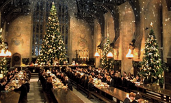 Harry Potter'ın büyülü dünyası "Hogwart's Holidays" gösterisinde canlanacak   