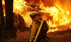 Şili'deki orman yangınlarında ölü sayısı yükseliyor 