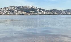 Renk değiştiren İzmir Körfezi'nde alg çoğalması belirlendi 