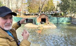 Kuğulu Park’ın yeni dünyaya gelen yavru siyah kuğularına yoğun ilgi 