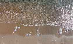 Mersin'de sahiller yeniden denizanası ile doldu 