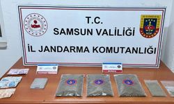 Samsun'da jandarma 1 kilo 50 gram bonzai ele geçirdi: 1 gözaltı 