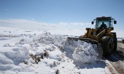 Kars'ta kar ve tipi nedeniyle 3 köy yolu ulaşıma kapandı