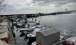 Tekirdağlı balıkçılar istavrit ve karides umuduyla denize açıldı