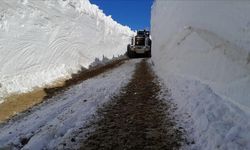 Hakkari'de 4 metre karla kapanan üs bölgelerinin yolu açıldı