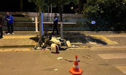 Motosiklet ağaca çarptı: 1 ölü   