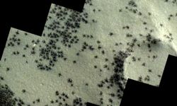Mars'ta örümcek benzeri madde görüldü