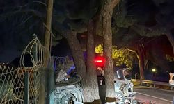 Otomobil önce otobüse sonra ağaca çarptı: 2 ölü, 1 ağır yaralı