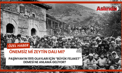 Paşinyan’ın “Büyük Felaket” ifadesi önemsiz mi Türkiye’ye Zeytin Dalı mı?