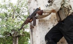 Nijerya'da silahlı saldırı: 15 ölü