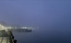 Yoğun sis İstanbul Boğazı'nda gemi trafiğini durdurdu 