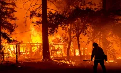 Orman yangınları için erken uyarı sistemi