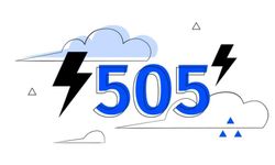505 Nedir? 505 Hatası ve Çözüm Yolları