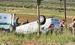 Şanlıurfa'da trafik kazası: 1 ölü