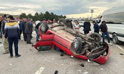 Başıboş sokak köpekleri 3 bin 476 trafik kazasına neden oldu