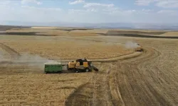 Tarımsal destekleme ödemeleri hesaplara aktarılıyor