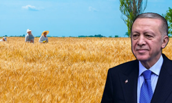 Cumhurbaşkanı Erdoğan’dan Dünya Çiftçiler Günü mesajı