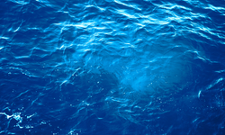 Su mavi midir? Suyun rengi neden mavi görünür?