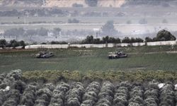 İsrail'in Gazze'deki tarım arazi tahribatı: Bir ekolojik felaket
