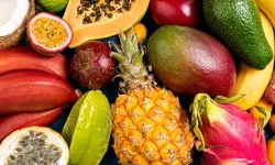 Tropikal meyvelerden hiç duymadıklarımız ve faydaları