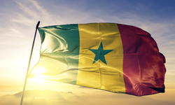 Senegal Fransızca'yı terk ediyor: Fransız sömürgeciliğinin mirası mı sona eriyor?