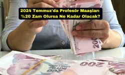 2024 Temmuz'da Profesör Maaşları %20 Zam Olursa Ne Kadar Olacak?