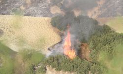 Ormanlarımız cayır cayır yanıyor! Kula'da 10 hektar kül oldu