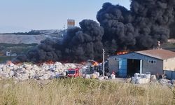 Kocaeli'de geri dönüşüm tesisinde yangın!