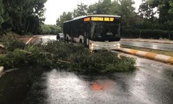 Şanlıurfa’da şiddetli fırtına: Yollar göle döndü