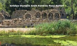 Antalya Olympos Antik Kenti'ne Nasıl Gidilir?