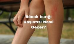 Böcek Isırığı Kaşıntısı Nasıl Geçer?