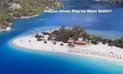 Dalyan İztuzu Plajı'na Nasıl Gidilir?