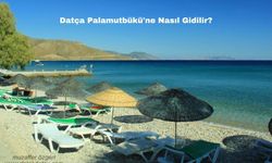 Datça Palamutbükü'ne Nasıl Gidilir?