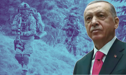 Cumhurbaşkanı Erdoğan: Terör örgütü eridikçe demokrasimiz serpilecektir