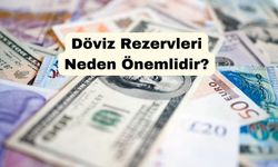 Döviz Rezervleri Neden Önemlidir?