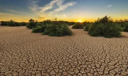 Dünya Meteoroloji Örgütü'nden 5 yıllık iklim tahmin raporu!