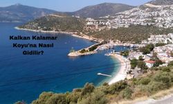 Kalkan Kalamar Koyu'na Nasıl Gidilir?