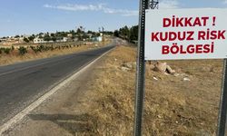 Niğde'de 'kuduz' karantinası